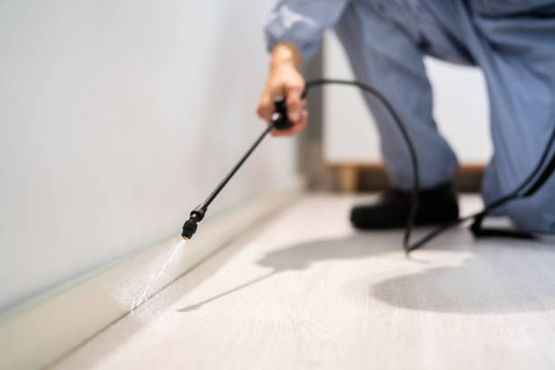 Licensed Termite Control service in South Portland, ME - Show Me Pest Control